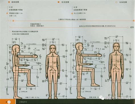 站立視線高度|人体工程学如何助力您舒适地工作 